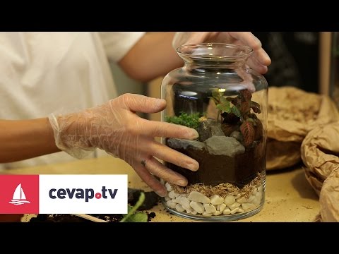 Terrarium nasıl yapılır?