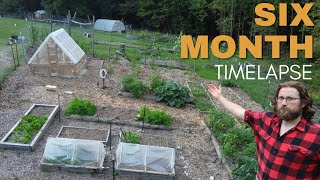 TIMELAPSE - Six Months Building a Homestead │Living Off the Land