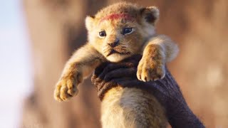 Baby Simba Scene | THE LION KING | Movie Scene (2019)