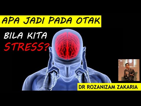 DOKTOR INI KONGSI APA JADI APA BERLAKU PADA OTAK BILA KITA STRESS!