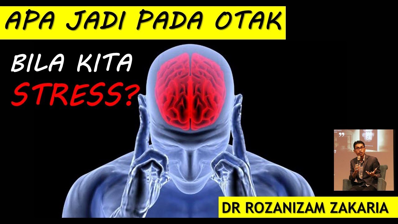 DOKTOR INI KONGSI APA JADI APA BERLAKU PADA OTAK BILA KITA STRESS!