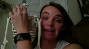 Module 4 Skeletal System Video Presentation