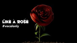 Safe Adam - Like A Rose | Wedding Nasheed #VocalOnly