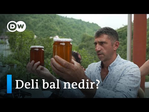 Karadeniz’de üretilen deli bal: Şifa mı, zehir mi? - DW Türkçe