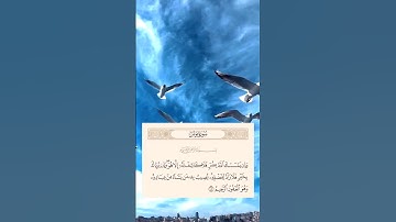 {سورة يونس}» {107}