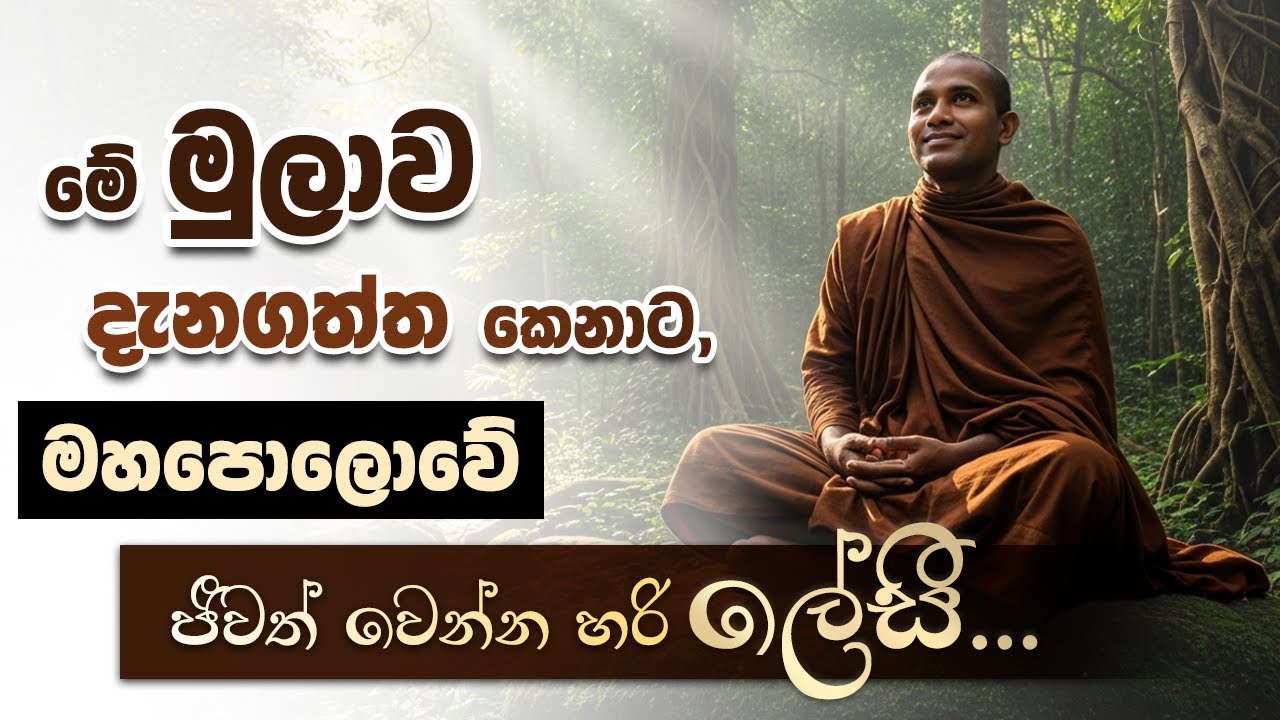 මේ මුලාව දැනගත්ත කෙනාට මහපොලොවේ ජීවත් වෙන්න හරි ලේසී… | Niwan Dakimu