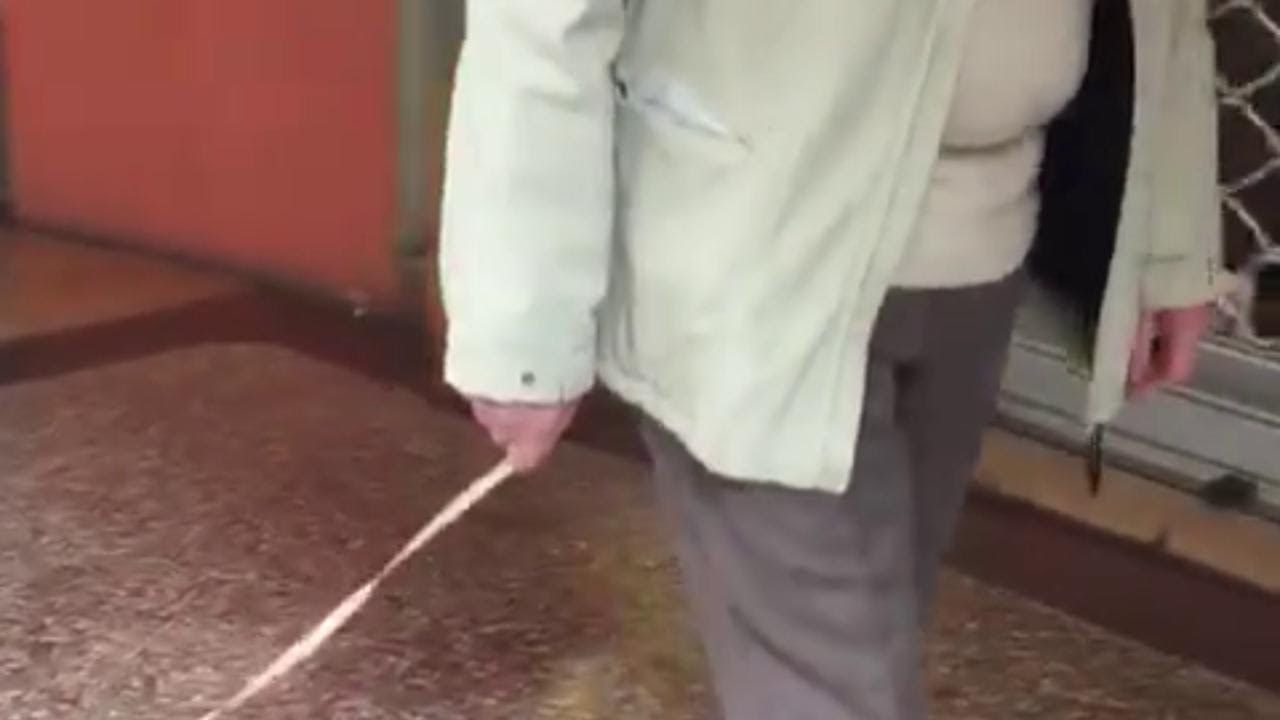 Coronavirus, il nonno porta a spasso il cane giocattolo per i portici di Bologna