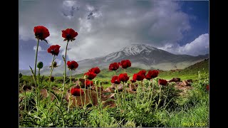 Visit Iran - Ecotourism