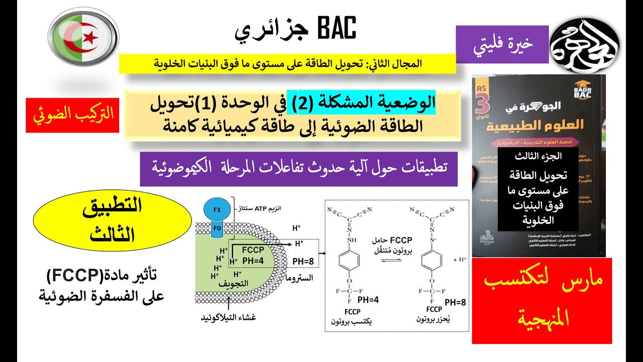 حل تطبيق 3 تأثير مادة FCCP على الفسفرة الضوئية