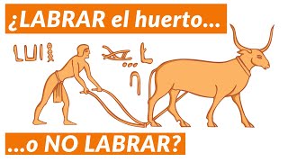 LABRAR? o NO LABRAR? 🤔  || ACABA con las dudas!!