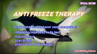 Smart Mastering - Anti Freeze Therapy (for Kacer bird)