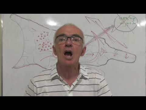 რა არის უშუალო დემოკრატიული კომიტეტი - დამატება