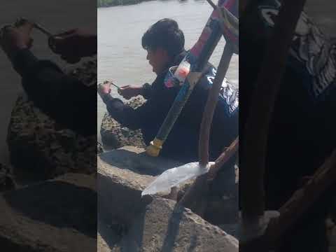 Lapak Sepi‼️Rumpon Tambak Batu Tanpa Penghuni#baramundifishing _Part 10