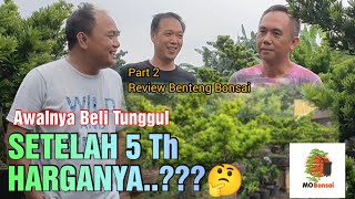 HARGA TUNGGUL BONSAI SETELAH 5 TAHUN || Azis Gagap Review