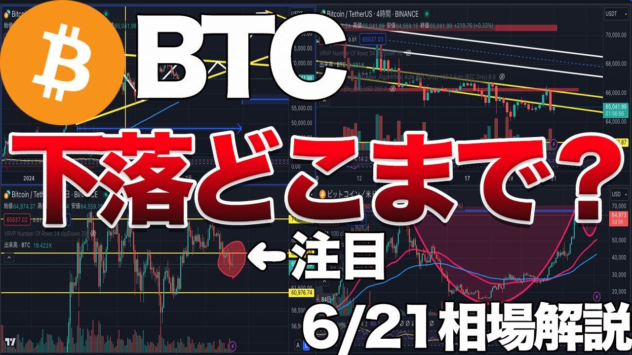BTC(ビットコイン)】いつまで下がる？今後の見解 - YouTube