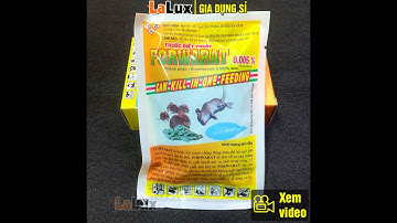 Thuốc Diệt Chuột Sinh Học Cực Mạnh GÓI FORWARAT CAM 40G - LALUX