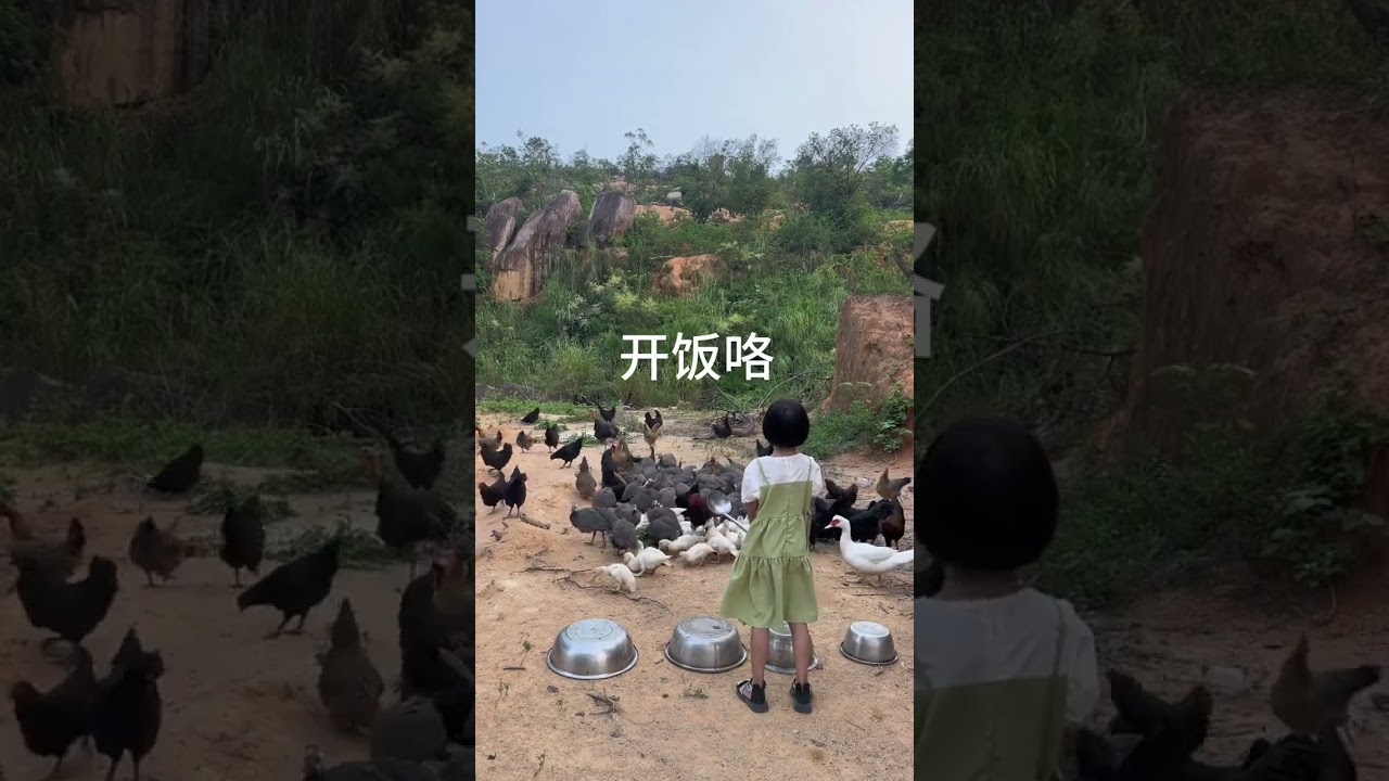 Учет племенной жизни, экологическое поголовье и разведение поедания травы и выращивания мяса.