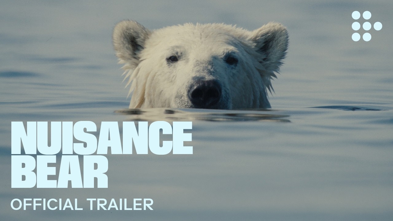 Trailer for 'Nuisance Bear'