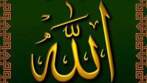 سوره الضحى ...الشيخ محمد حسين عامر