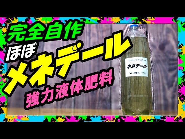 液体肥料の作り方 買えば3 000円 メネデールは簡単に作れる ほぼ同じ成分の栄養液ができる 液肥 Youtube