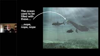 Alligators in the Abyss with Dr Craig McClain