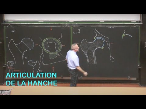 Vidéo: Fracture De L'articulation De La Hanche