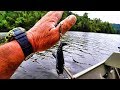 How To Remove A Fish Hook Quick and Easy!