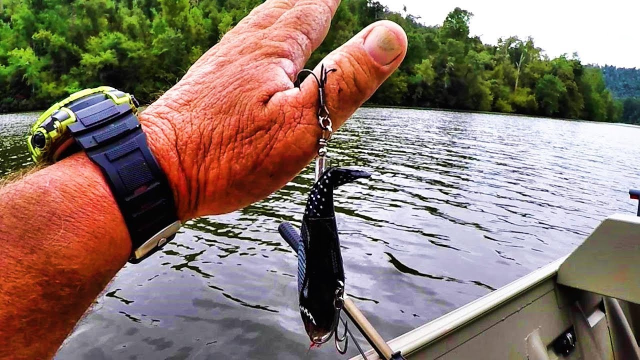 How To Remove A Fish Hook Quick and Easy! 