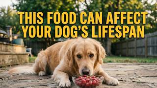 7 Vegetables Your Dog NEEDS to Live Longer (And 3 to Avoid)