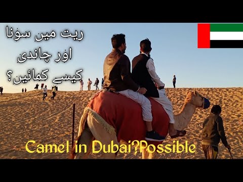 Desert Safari Dubai | Dubai 2021 with Asif Khan Afridi