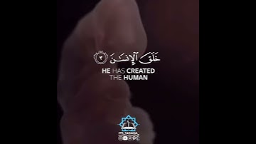 عامر الكاظمي قراءة عراقية /سورة الرحمن /بالطور العراقي /حالات واتساب القران/ صوت يقتل حزنك♥️⛅️