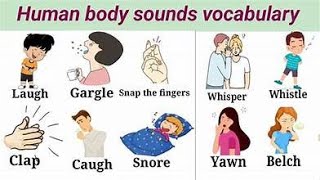 Human Body Sounds Vocabulary | Body Sounds English | Vocabulary in English