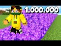 MINECRAFT MA COMPRO 1 MILIONE DI NETHERITE