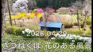 それでも花は咲く - YouTube