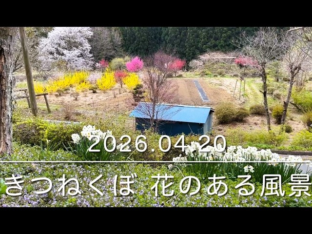 それでも花は咲く - YouTube
