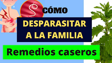 ¿Cómo se desparasita el ser humano?