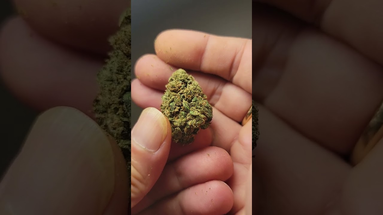 Platinum purple kush THCA live 