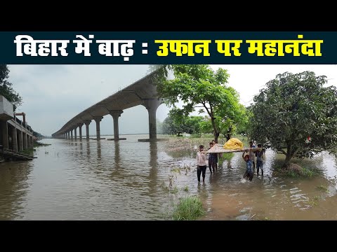 Bihar में भारी बारिश से नदियों का बढ़ा जलस्तर, कटिहार में उफान पर Mahananda नदी | Prabhat Khabar