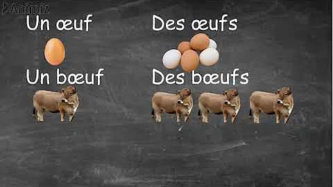 Comment prononcer des bœufs ?