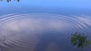 Water Ripples Visualisation for Dilating and Second Stage screenshot 5