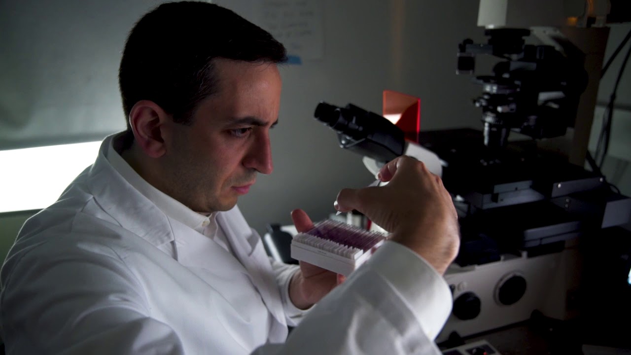 camera iphone 8 plus apk Dr. Samuel Bakhoum – 2018 Blavatnik Regional Awards Finalist in Life Sciences