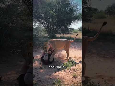 Животные, Которые Шокировали Всех! 🐾🤯