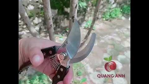 [Chính hãng] KÉO CẮT TỈA CÂY NHẬT BẢN - XH-D V7 - LƯỠI THÉP SK5 CAO CẤP