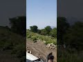 شاهد جمال هذيه البلاد عتمه اليمن محافظة ذمار