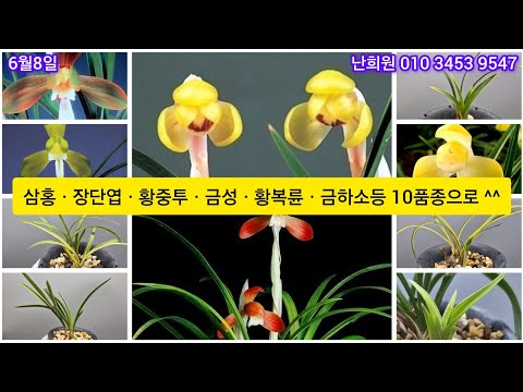 유튜브 썸네일
