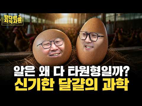 요즘 달걀 왜 비쌀까?🥚 달걀 얘기로 달걀 두 판 분량 만든 과학자