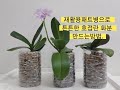 패트병2개로 튼튼한 호접란 화분 만드는방법. Make a strong orchids pot using two recycled PET bottles.