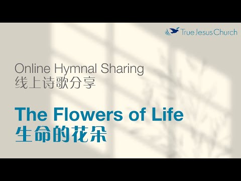 The Flowers of Life 生命的花朵
