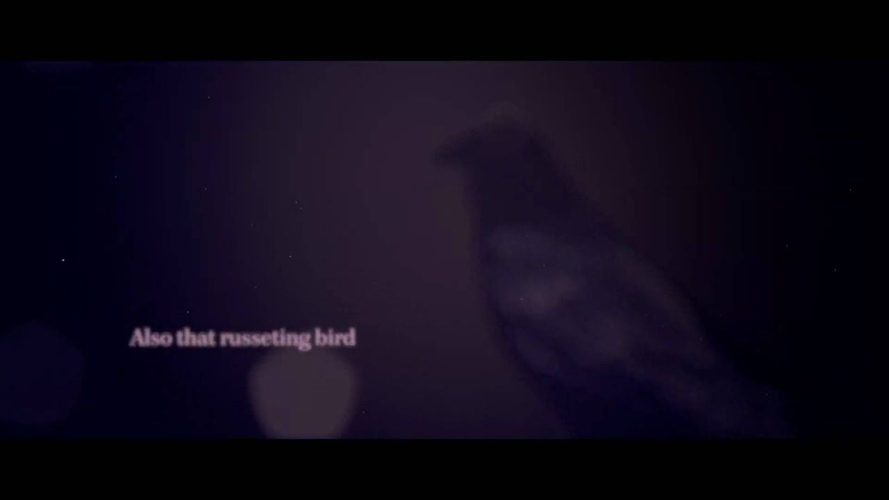 SUITCASE a poem by Jane Hirshfield YouTube