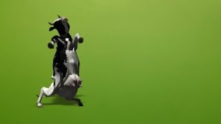 Cow Dancing Vfx Video Just Download No Copyright